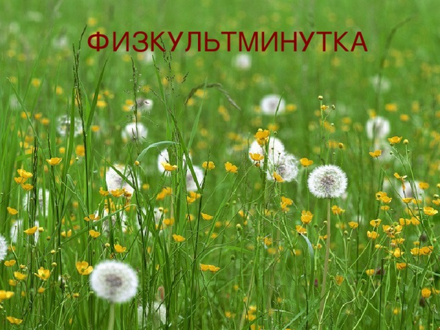 ФИЗКУЛЬТМИНУТКА