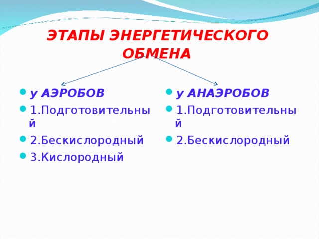 ЭТАПЫ ЭНЕРГЕТИЧЕСКОГО ОБМЕНА  у АЭРОБОВ 1.Подготовительный 2.Бескислородный 3.Кислородный