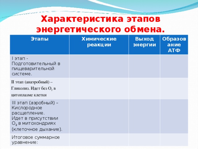 Характеристика этапов энергетического обмена.   Этапы Химические реакции I этап - Подготовительный в пищеварительной системе. Выход энергии II этап (анаэробный) – Гликолиз. Идет без О 2  в цитоплазме клетки Образование АТФ III этап (аэробный) – Кислородное расщепление. Идет в присутствии О 2  в митохондриях (клеточное дыхание). Итоговое суммарное уравнение: