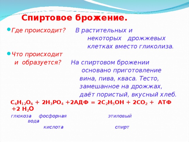 Спиртовое брожение. Где происходит? В растительных и  некоторых дрожжевых  клетках вместо гликолиза. Что происходит  и образуется? На спиртовом брожении  основано приготовление  вина, пива, кваса. Тесто,  замешанное на дрожжах,  даёт пористый, вкусный хлеб.  С 6 Н 12 О 6 + 2Н 3 РО 4 +2АДФ = 2С 2 Н 5 О H + 2CO 2 + АТФ +2 Н 2 O   глюкоза фосфорная этиловый вода    кислота спирт