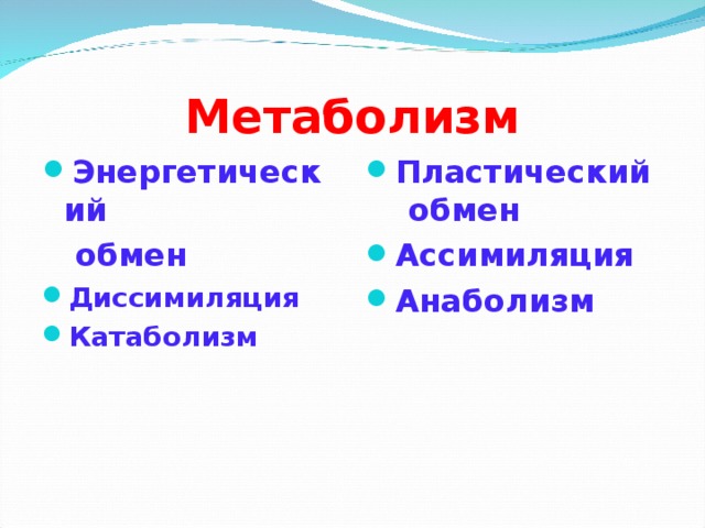 Пластический и энергетический обмен 8 класс презентация