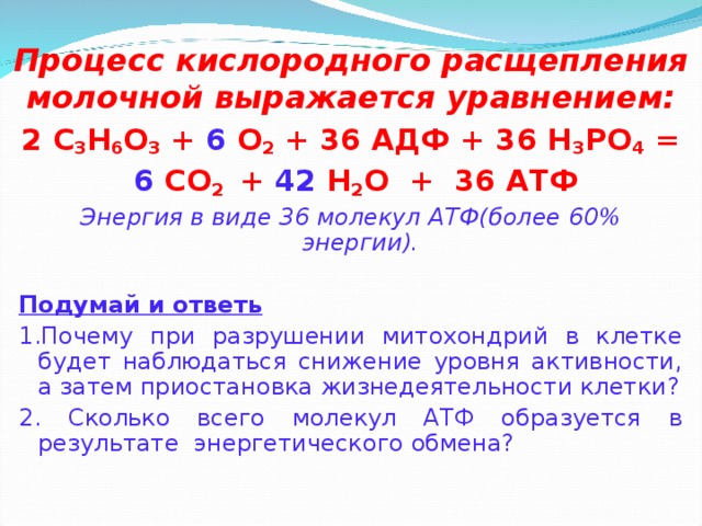 Процесс кислородного расщепления молочной выражается уравнением:   2 С 3 Н 6 О 3 + 6 О 2 + 36 АДФ + 36 Н 3 РО 4 =  6 СО 2 + 42 Н 2 О + 36 АТФ Энергия в виде 36 молекул АТФ(более 60% энергии).  Подумай и ответь 1.Почему при разрушении митохондрий в клетке будет наблюдаться снижение уровня активности, а затем приостановка жизнедеятельности клетки? 2. Сколько всего молекул АТФ образуется в результате энергетического обмена?