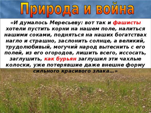 «И думалось Мересьеву: вот так и фашисты хотели пустить корни на нашем поле, налиться нашими соками, подняться на наших богатствах нагло и страшно, заслонить солнце, а великий, трудолюбивый, могучий народ вытеснить с его полей, из его огородов, лишить всего, иссосать, заглушить, как бурьян заглушил эти чахлые колоски, уже потерявшие даже внешне форму сильного красивого злака…»