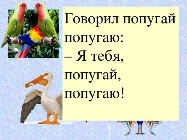 Говорил попугай попугаю: – Я тебя, попугай, попугаю!