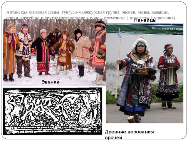 Алтайская языковая семья, тунгусо-манчжурская группа: эвенки, эвены, нанайцы, орочи, удэгейцы, и другие (православие + родо – племенные ( языческие ) верования). Нанайцы Эвенки Древние верования орочей