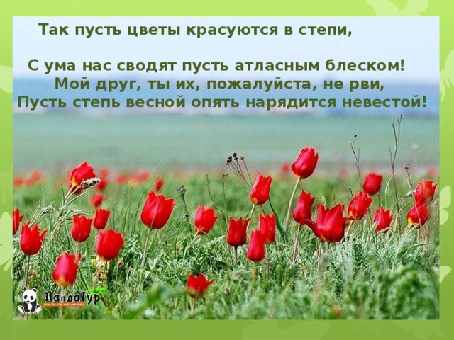 Так пусть цветы красуются в степи,  С ума нас сводят пусть атласным блеском!  Мой друг, ты их, пожалуйста, не рви,  Пусть степь весной опять нарядится невестой!