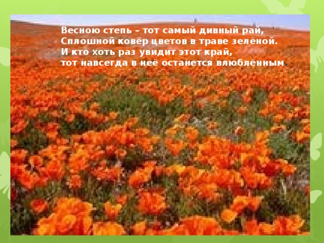 Весною степь – тот самый дивный рай,  Сплошной ковёр цветов в траве зелёной.  И кто хоть раз увидит этот край,  тот навсегда в неё останется влюблённым .