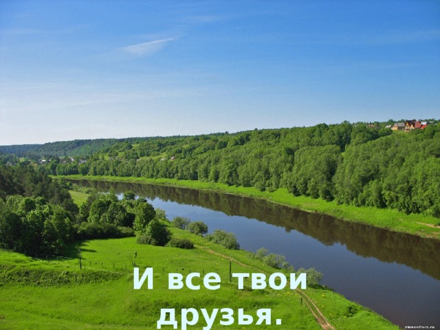 И все твои друзья.