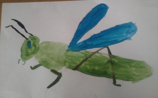 Рисование на тему насекомые в старшей группе