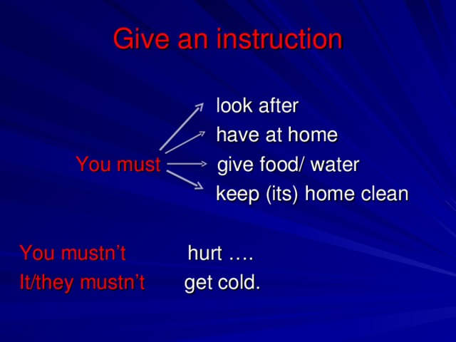 Give an instruction  look after  have at home  You must give food/ water  keep (its) home clean You mustn’t hurt …. It/they mustn’t get cold.
