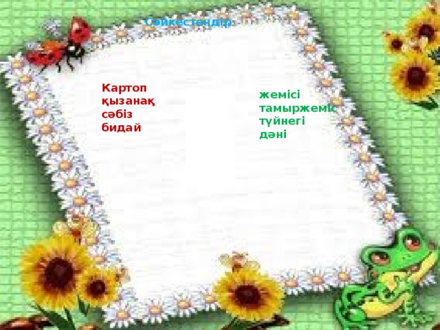 Сәйкестендір  Картоп қызанақ сәбіз бидай жемісі тамыржеміс түйнегі дәні