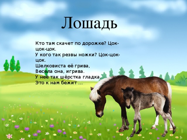 Песенки для малышей лошадка