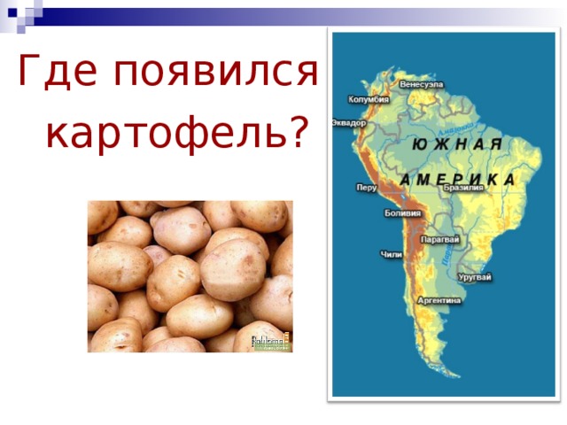 Где картофель. Родина картофеля Южная Америка. Южная Америка картофель история. Историческая Родина картофеля. Картофель история происхождения.