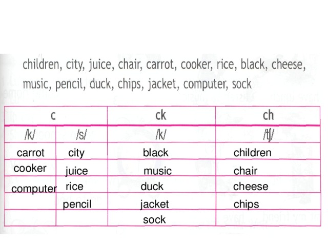 carrot children black city cooker chair juice music rice cheese duck computer pencil chips jacket sock