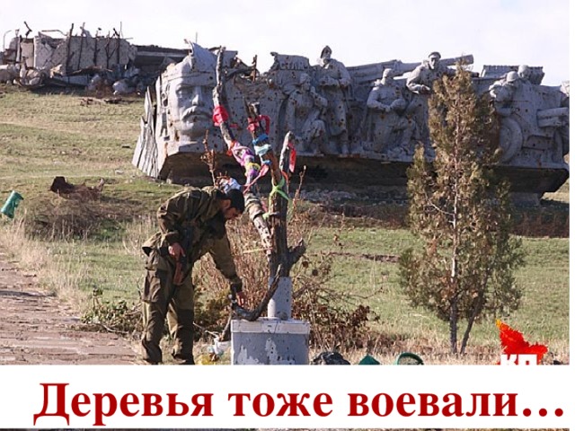 Деревья тоже воевали…