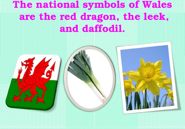 The national symbols of Wales are the red dragon, the leek, and daffodil.