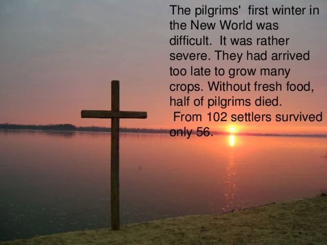 The pilgrims' first winter in the New World was difficult. It was rather severe. They had arrived too late to grow many crops. Without fresh food, half of pilgrims died.  From 102 settlers survived only 56.