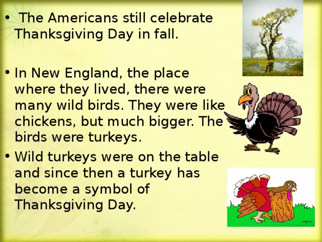 The Americans still celebrate Thanksgiving Day in fall.  In New England, the place where they lived, there were many wild birds. They were like chickens, but much bigger. The birds were turkeys. Wild turkeys were on the table and since then a turkey has become a symbol of Thanksgiving Day.
