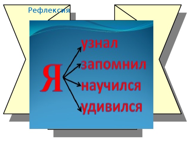 Рефлексия