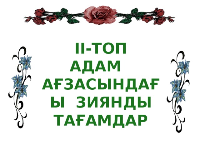 II-топ Адам ағзасындағы зиянды тағамдар