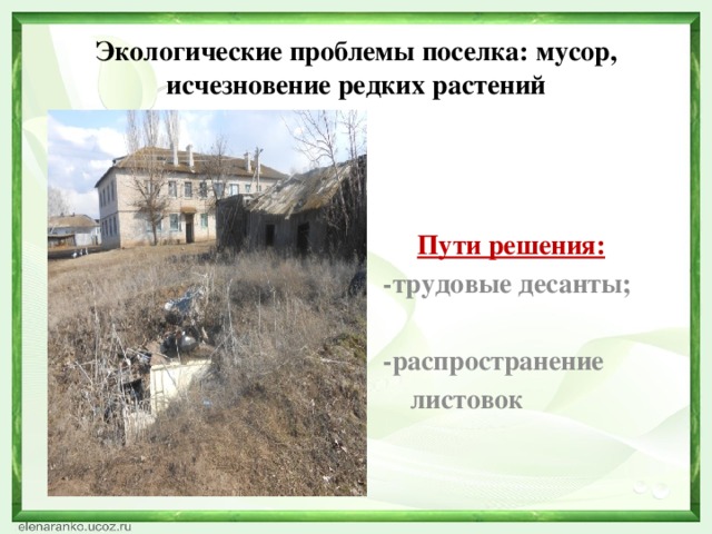 Экологические проблемы поселка: мусор, исчезновение редких растений   Пути решения:  -трудовые десанты;   -распространение  листовок