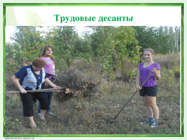 Трудовые десанты