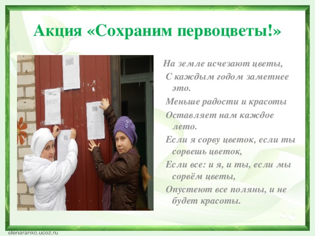 Акция «Сохраним первоцветы!» На земле исчезают цветы,  С каждым годом заметнее это.  Меньше радости и красоты  Оставляет нам каждое лето.  Если я сорву цветок, если ты сорвешь цветок,  Если все: и я, и ты, если мы сорвём цветы,  Опустеют все поляны, и не будет красоты.