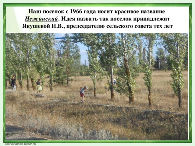 Наш поселок с 1966 года носит красивое название  Нежинский . Идея назвать так поселок принадлежит Якушевой И.В., председателю сельского совета тех лет