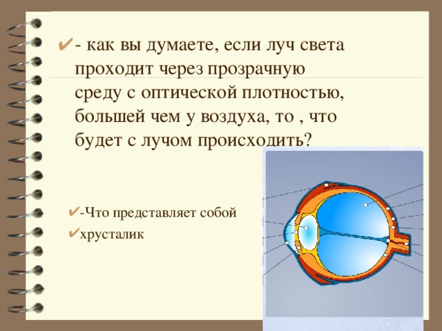 - как вы думаете, если луч света проходит через прозрачную среду с оптической плотностью, большей чем у воздуха, то , что будет с лучом происходить?  -Что представляет собой хрусталик