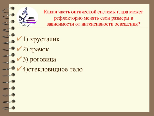 Какая часть оптической системы глаза может рефлекторно менять свои размеры в зависимости от интенсивности освещения? 1) хрусталик 2) зрачок 3) роговица 4)стекловидное тело