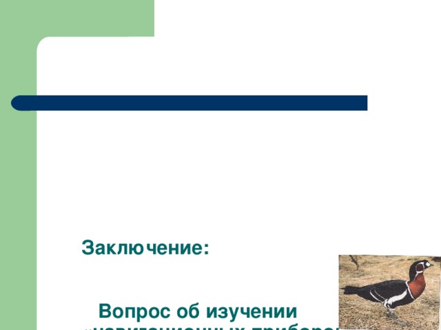 Заключение:    Вопрос об изучении «навигационных приборов» птиц остается открытым.  В дальнейшей работе необходимо окольцовывать птиц, чтобы изучить пути их миграции.