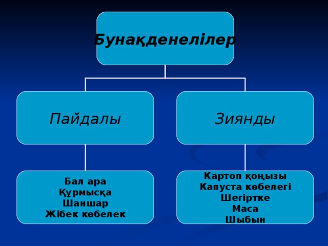 Бунақденелілер Пайдалы Зиянды Бал ара Құрмысқа Шаншар Жібек көбелек Картоп қоңызы Капуста көбелегі Шегіртке Маса Шыбын