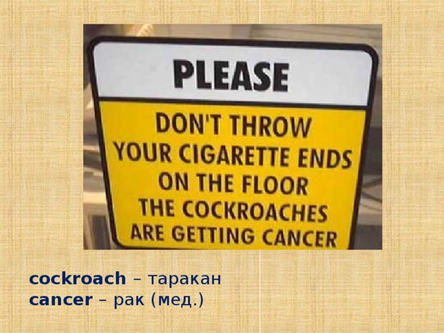 cockroach  – таракан  cancer – рак (мед.)