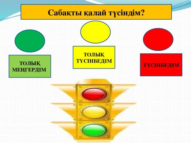 Сабақты қалай түсіндім? ТОЛЫҚ ТҮСІНБЕДІМ ТҮСІНБЕДІМ ТОЛЫҚ МЕҢГЕРДІМ