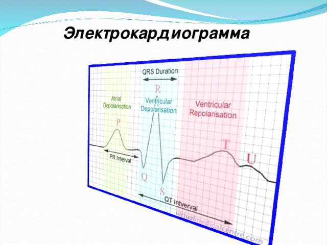 Электрокардиограмма