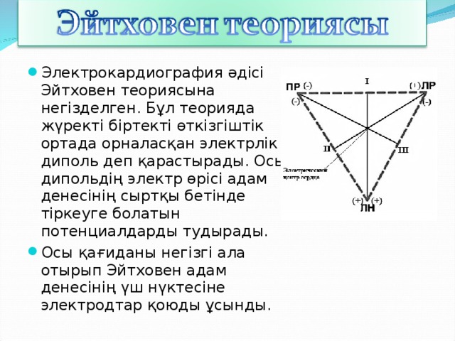 Электрокардиография әдісі Эйтховен теориясына негізделген. Бұл теорияда жүректі біртекті өткізгіштік ортада орналасқан электрлік диполь деп қарастырады. Осы дипольдің электр өрісі адам денесінің сыртқы бетінде тіркеуге болатын потенциалдарды тудырады. Осы қағиданы негізгі ала отырып Эйтховен адам денесінің үш нүктесіне электродтар қоюды ұсынды.