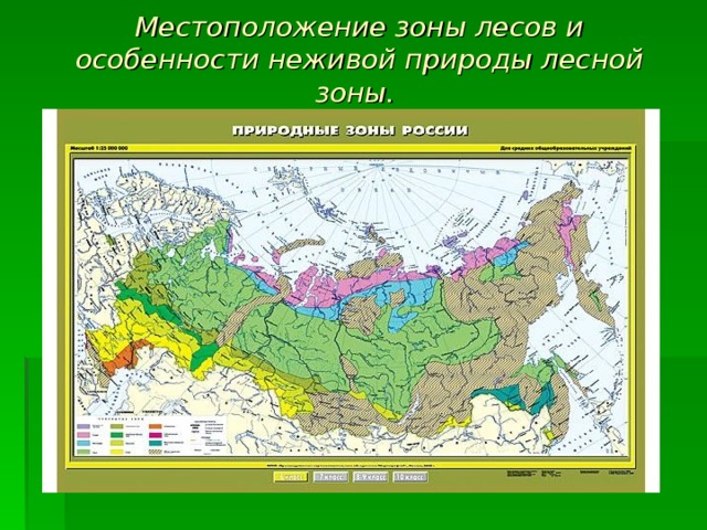 Местоположение зоны лесов и особенности неживой природы лесной зоны.