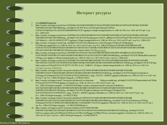 Интернет ресурсы