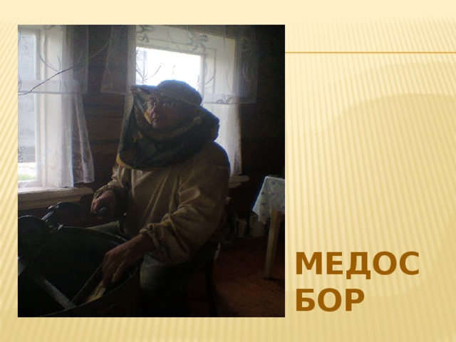 медосбор