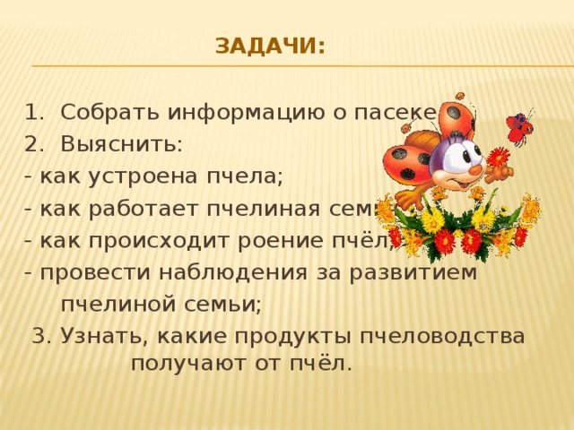 Задачи:   1. Собрать информацию о пасеке. 2. Выяснить: - как устроена пчела; - как работает пчелиная семья; - как происходит роение пчёл; - провести наблюдения за развитием  пчелиной семьи;  3. Узнать, какие продукты пчеловодства получают от пчёл.