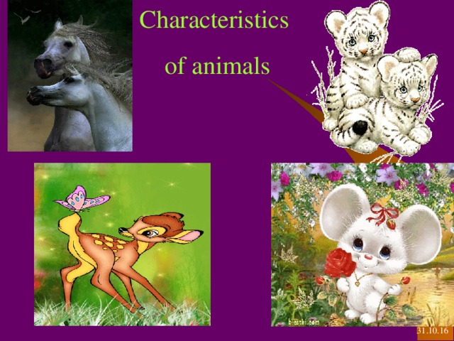 Characteristics of animals   31.10.16