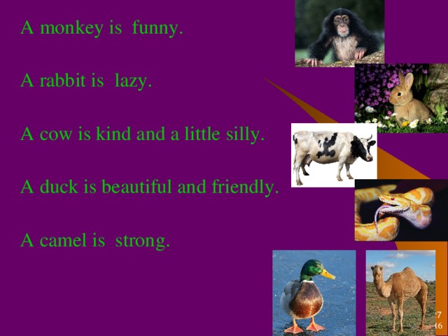 A monkey is funny. A rabbit is lazy. A cow is kind and a little silly. A duck is beautiful and friendly. A camel is strong .   31.10.16