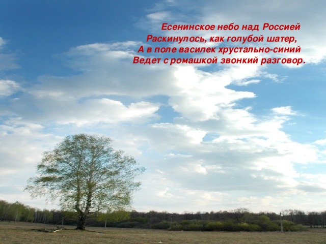 Стихотворение в синем небе над полями. Есенинское небо над Россией. Есенинское небо над Россией стих. Небо России стихи. Есенин и небо.