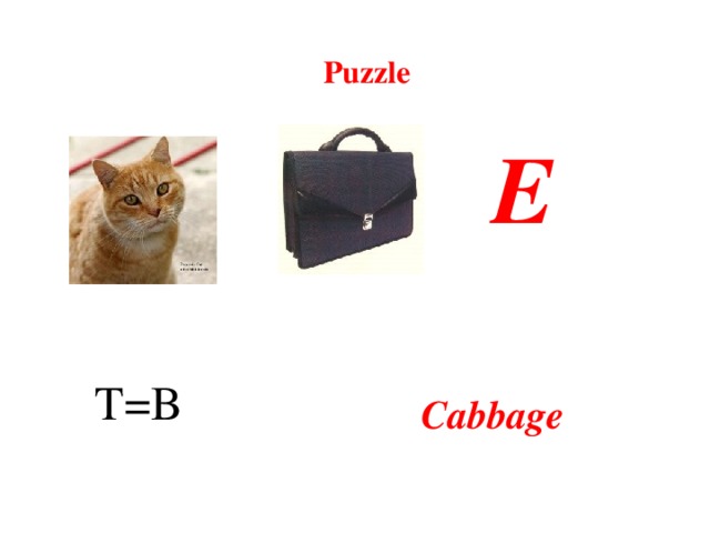 Puzzle E  T=B Cabbage
