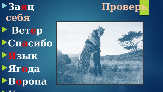 За я ц Проверь себя  Вет е р Сп а сибо Я зык Яг о да В о рона К а пуста