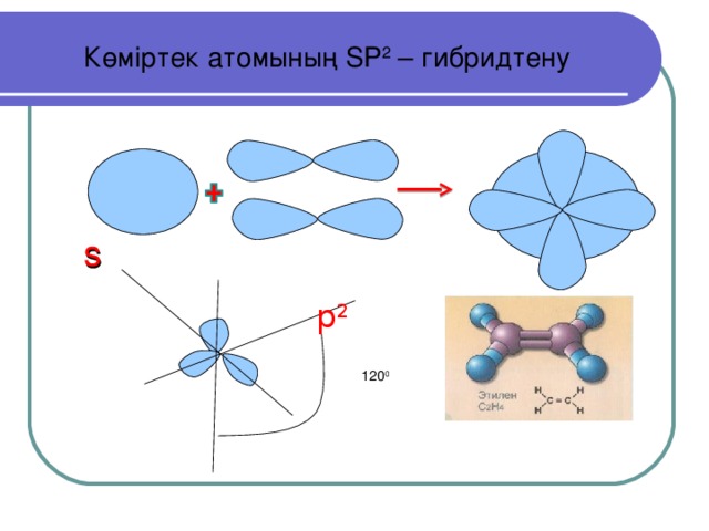 Көміртек атомының SP 2 – гибридтену s  p 2 120 0