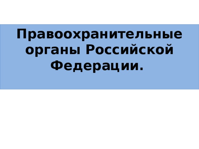 Правоохранительные органы Российской Федерации.