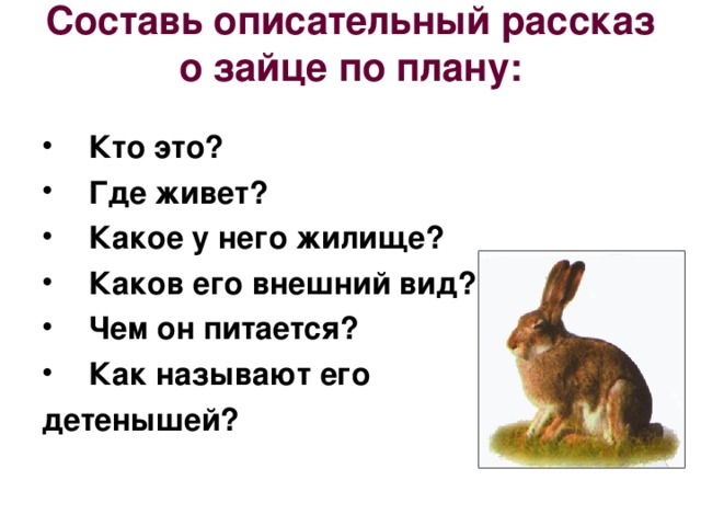 Составь описательный рассказ о зайце по плану:   Кто это? Где живет? Какое у него жилище? Каков его внешний вид? Чем он питается? Как называют его детенышей?