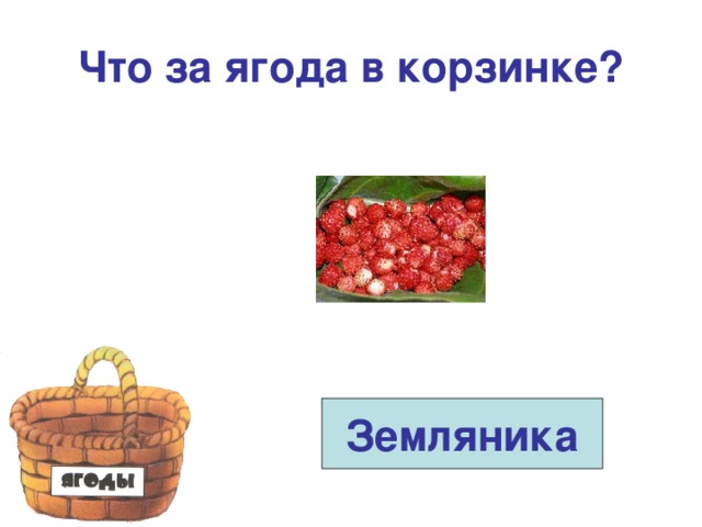 Что за ягода в корзинке? Земляника