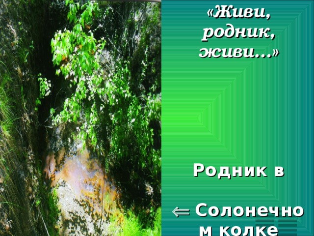 «Живи, родник, живи...»       Родник в    Солонечном колке